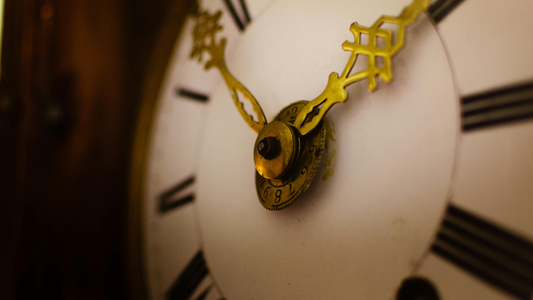 Beyond the Birth Certificate: Using PEMF to Re-Code Your Epigenetic Clock